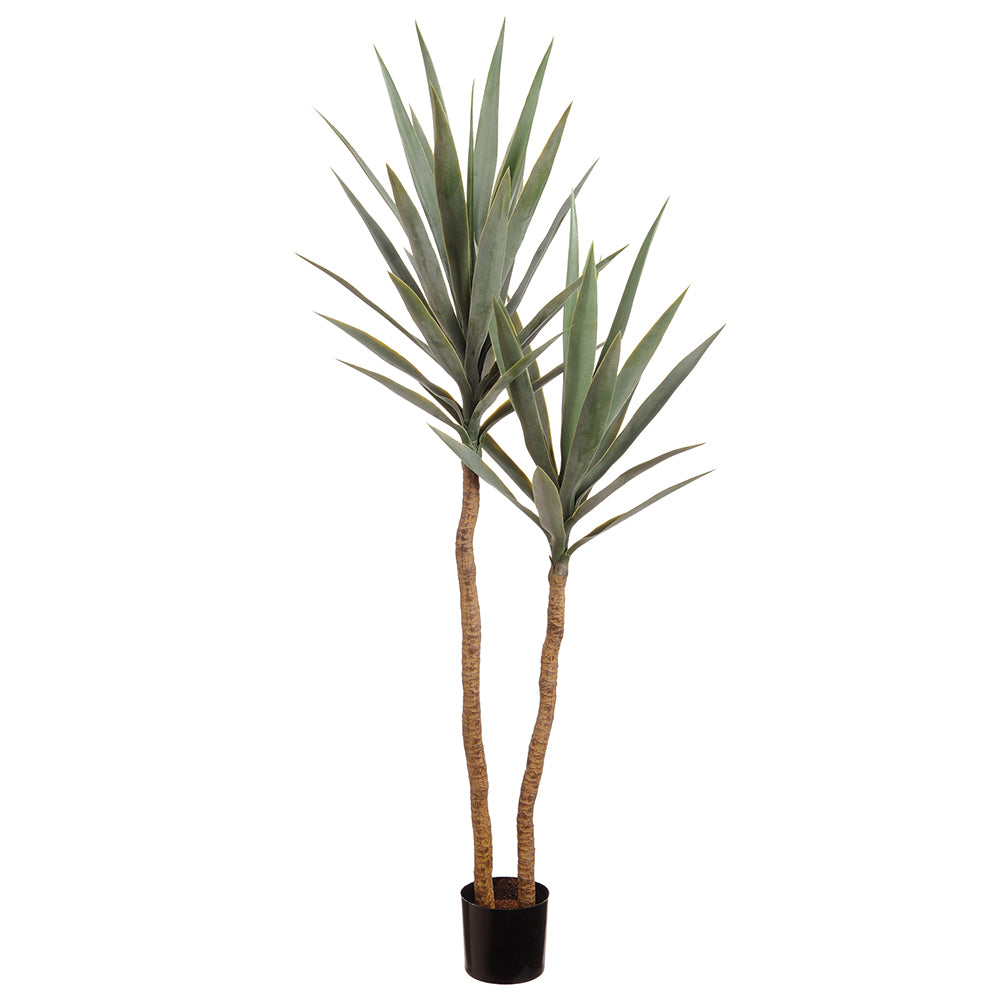 Yucca Double Tree 52"