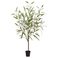 Eucalyptus Tree 4'