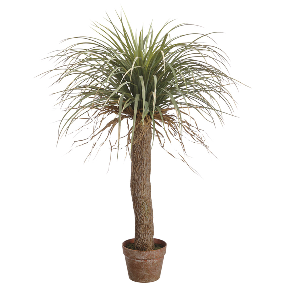 Desert Palm Tree 38"