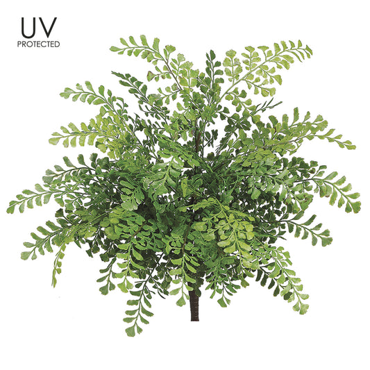 Maidenhair Fern 19" (UV safe)