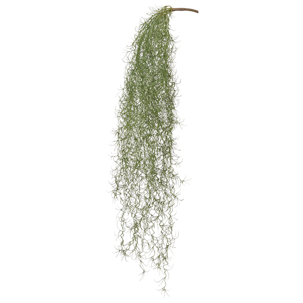 Spanish Moss Green 36"