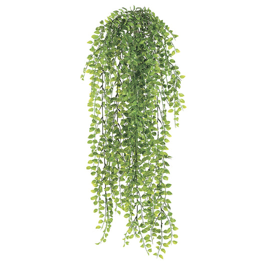 Hanging Baby Tears Bush 32"