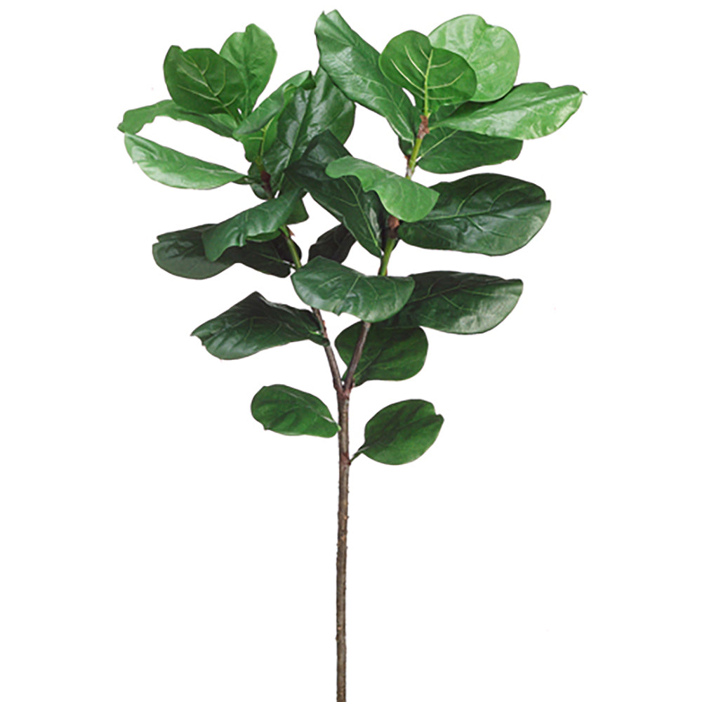 Fiddle Leaf Fig Branch 57"