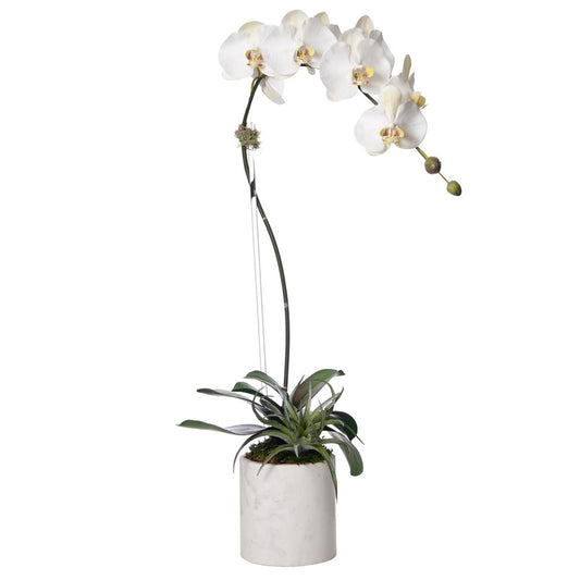 orchid silk|artificial orchids|artificial orchids plants|orchid artificial plant