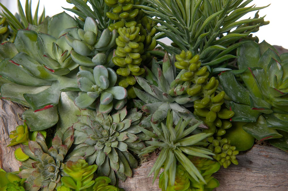 fake plants succulents|artificial plants succulents|artificial succulent plant