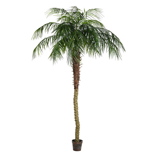 Phoenix Palm Tree 8'