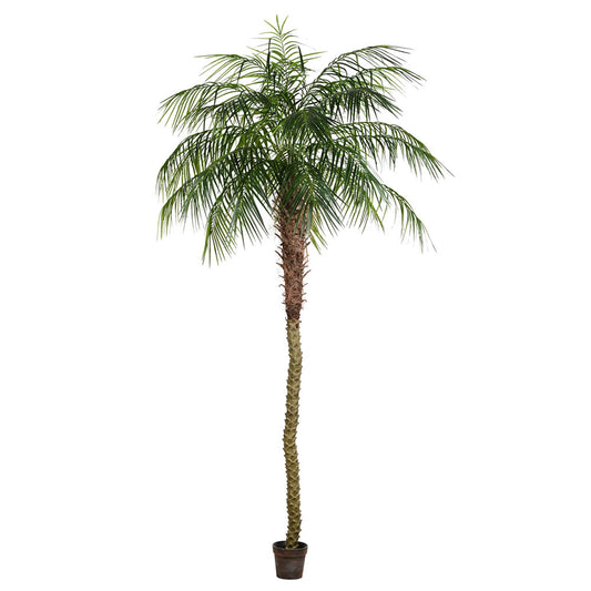 Phoenix Palm Tree 9'