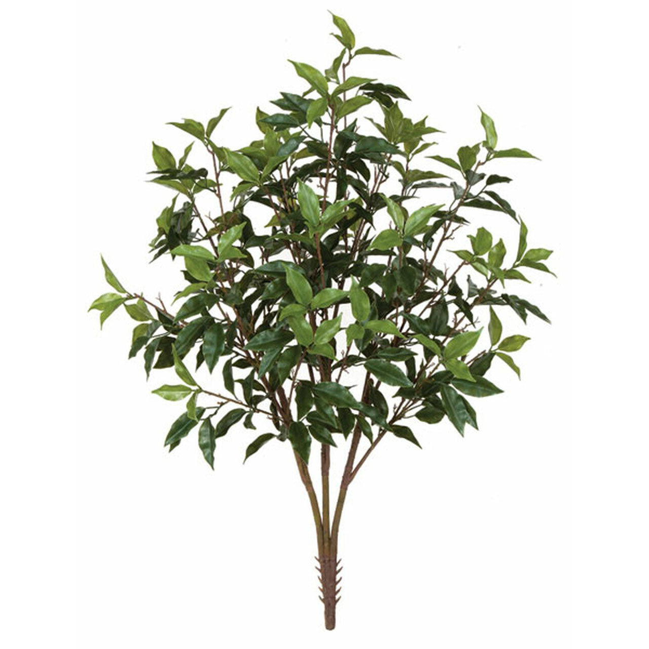 Ficus Bush 38" (UV Safe)