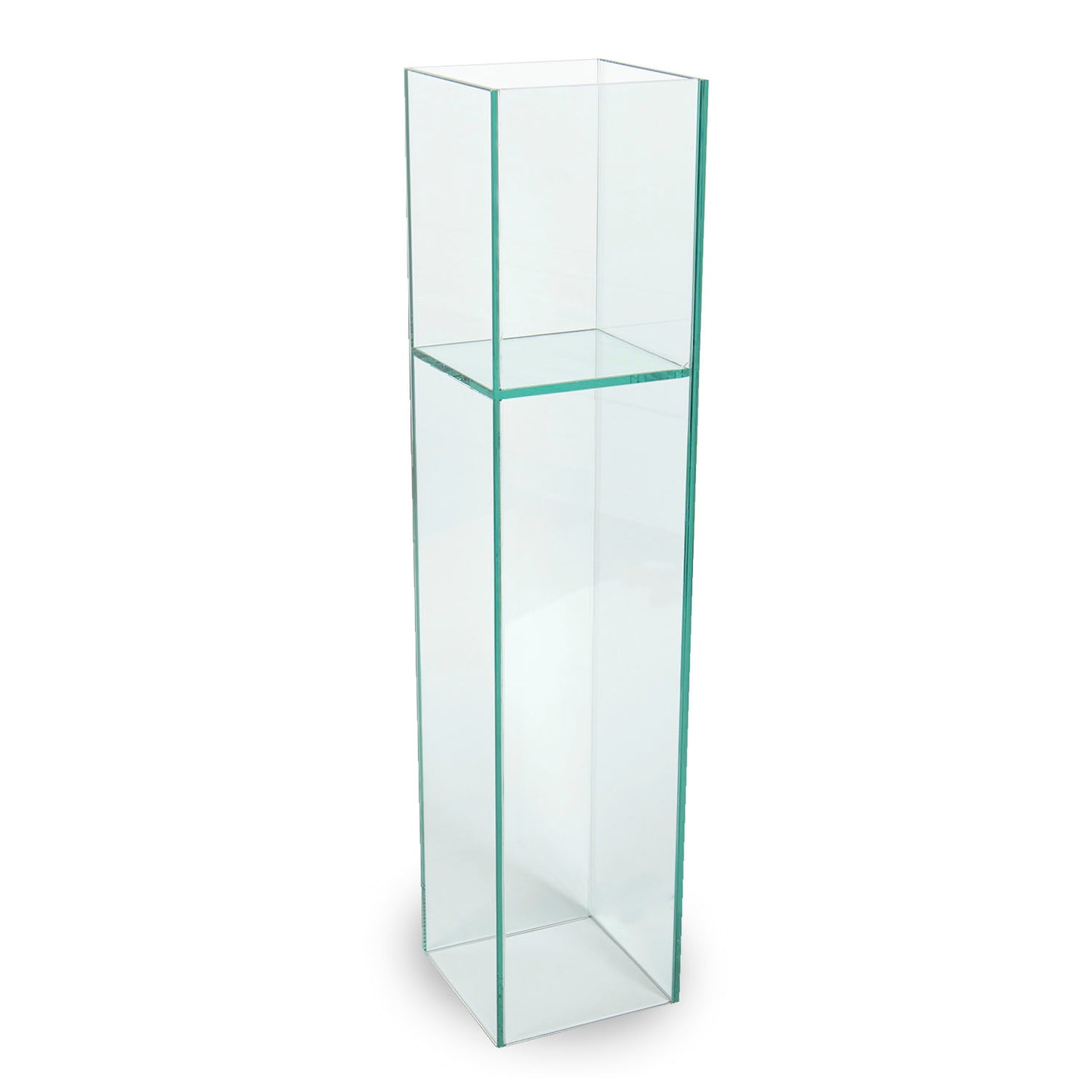 Reversible Plate Glass Vase