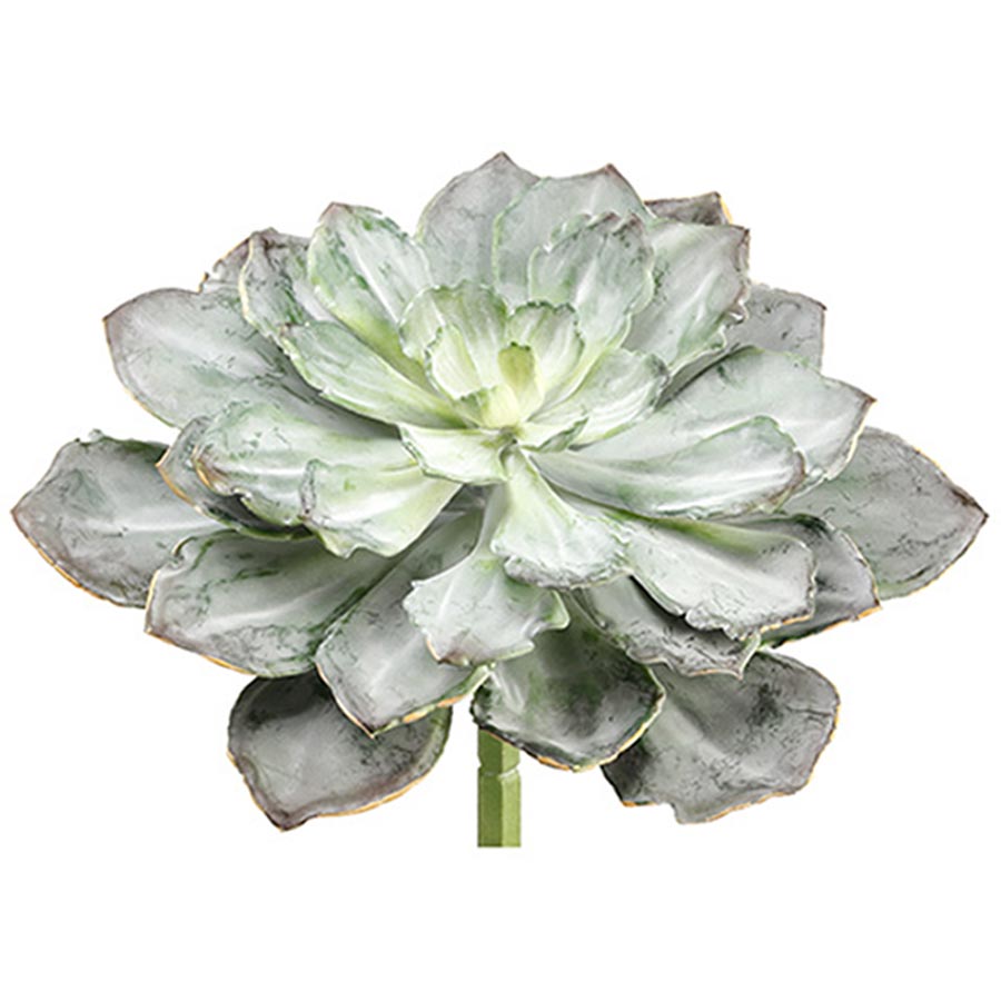 Faux Green Echeveria Succulent, XL