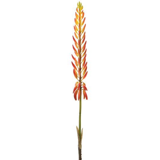 Agave Bloom Orange 28"