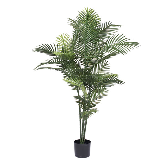 Areca Palm 5' (UV safe)