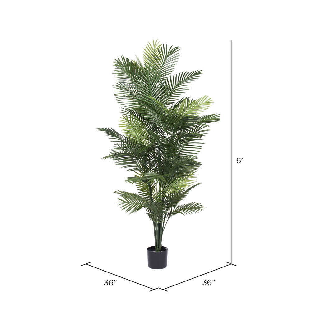 Areca Palm 6' (UV safe)