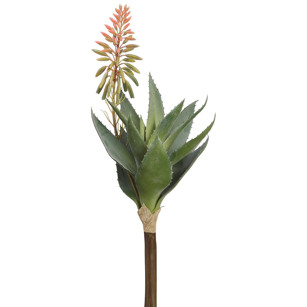Blooming Agave 15"