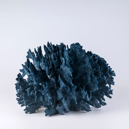 Blue coral buy blue coral decorating with blue coral