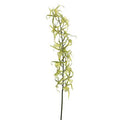 Brassia Orchid Stem 32"