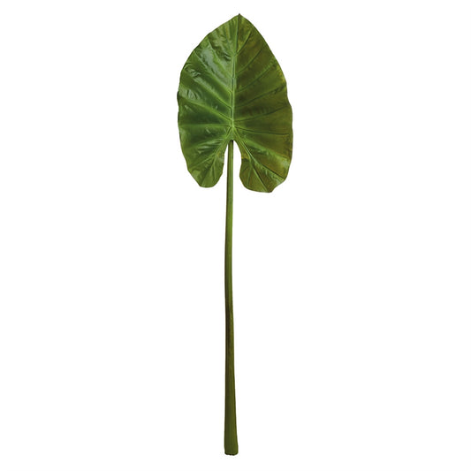 Elephant Ear Leaf 45"