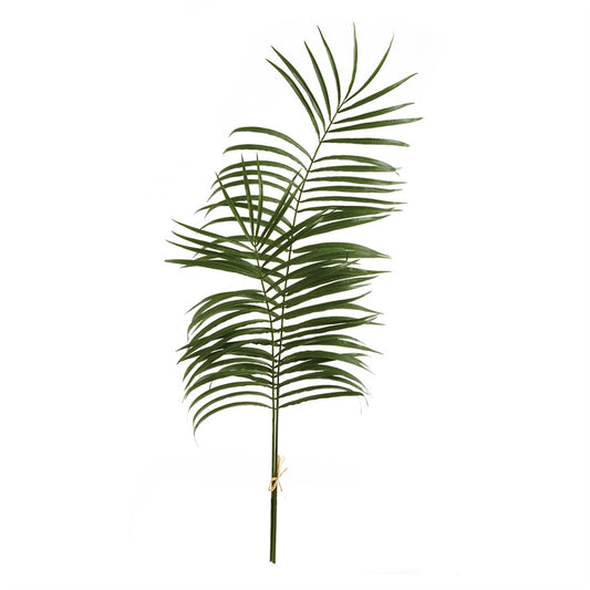 Majesty Palm Leaf