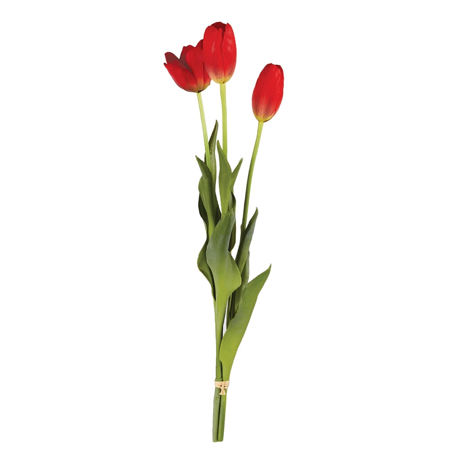 French Tulips 24"