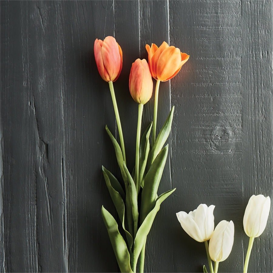 French Tulips 24"