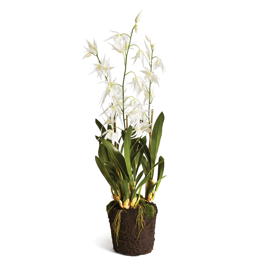 White Spider Orchid Drop-In 44"