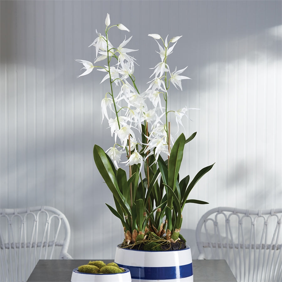 White Spider Orchid Drop-In 44"