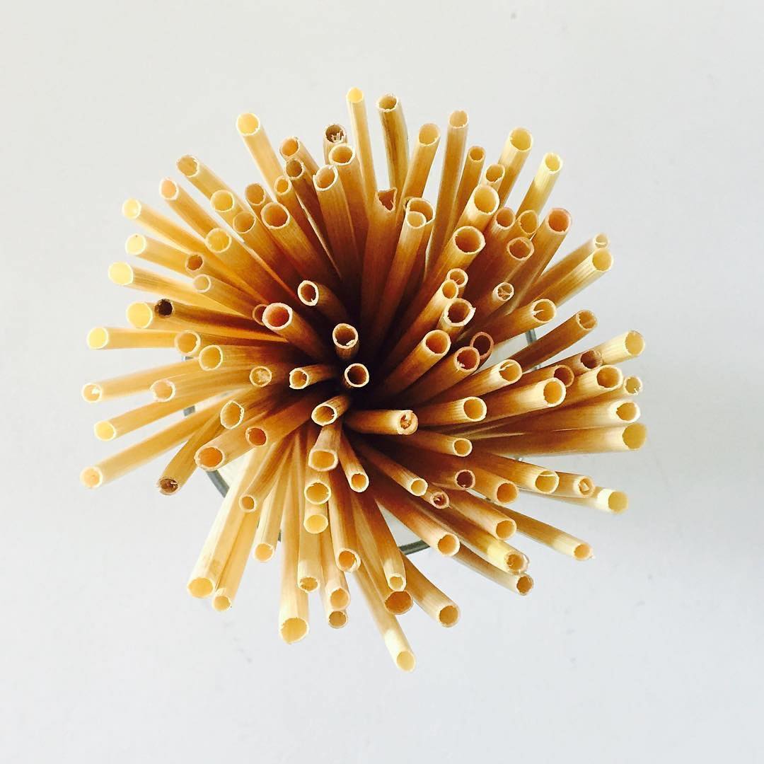 Wheat Drinking Straws (100 straws)