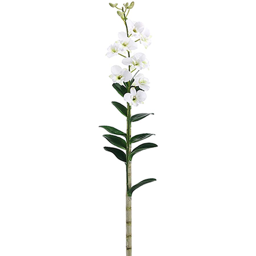 White Dendrobium Orchid Plant 45"