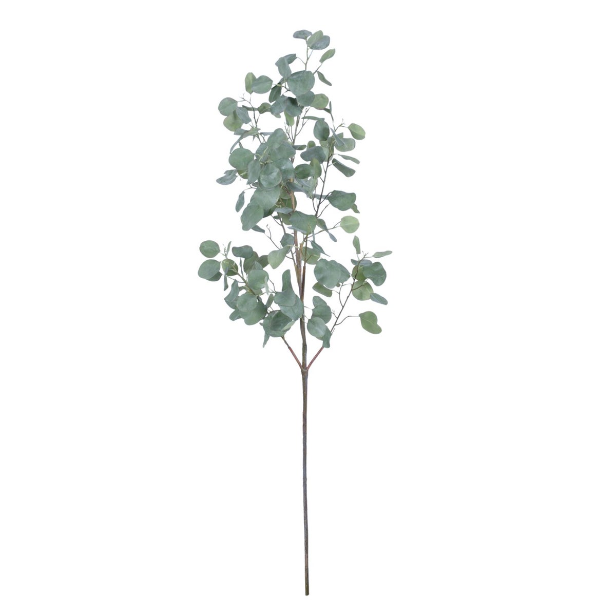 Eucalyptus Branch 52"