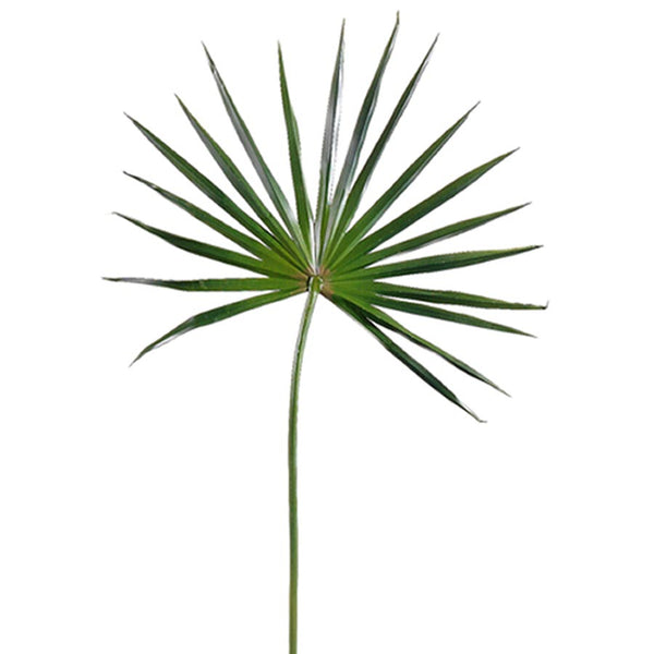 Fan Palm Spray 28