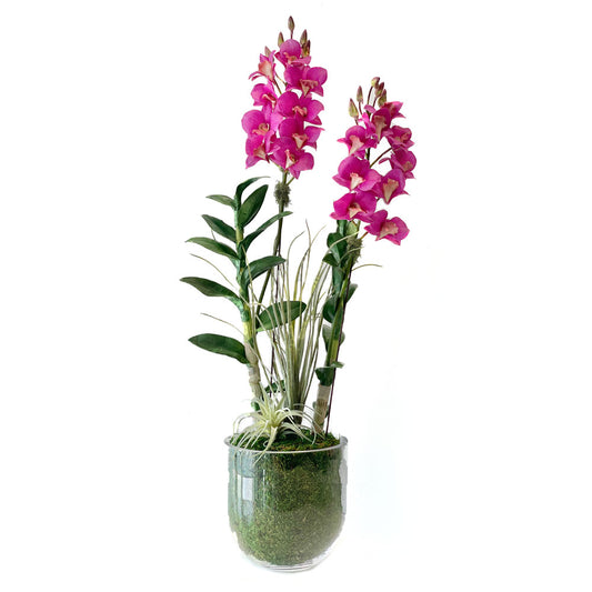 Double Dendrobium Orchid in a Medium Glass Bowl
