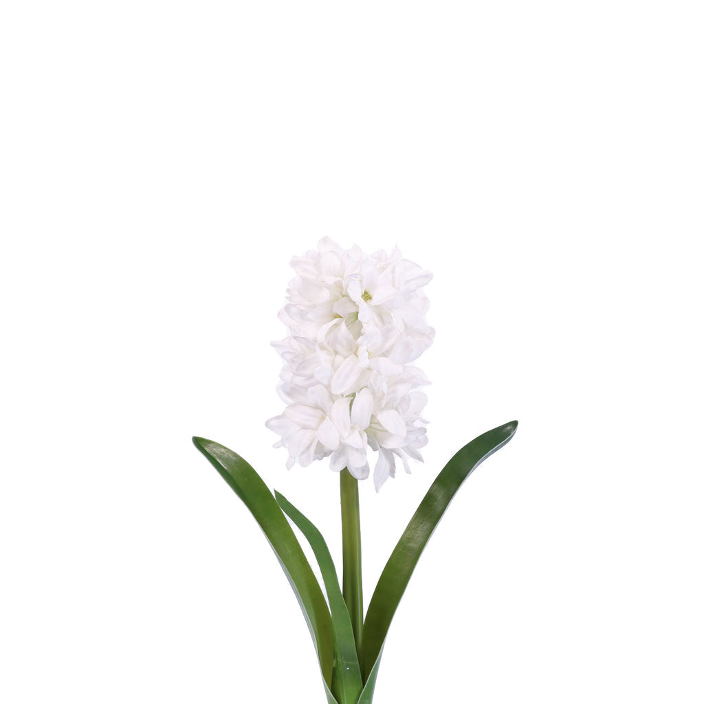 Hyacinth Stem White 13"