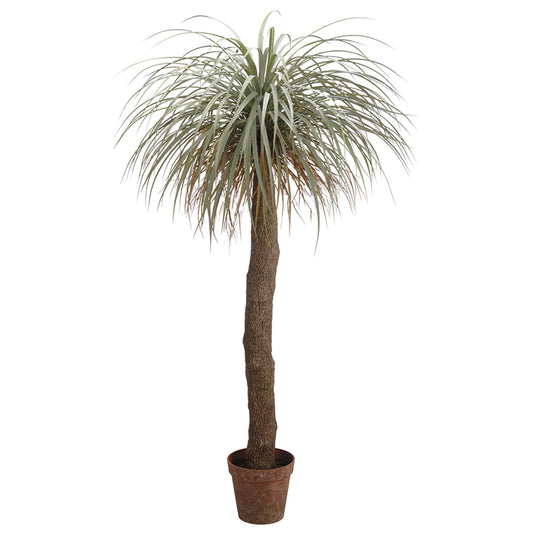 Desert Palm Tree 72"