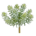 Jade Lotus Succulent