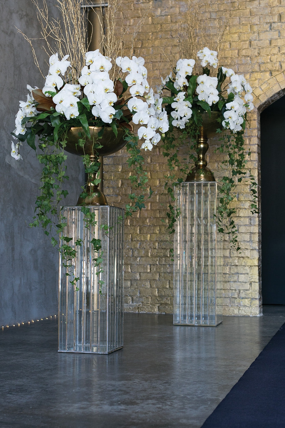 Paragon Column collection