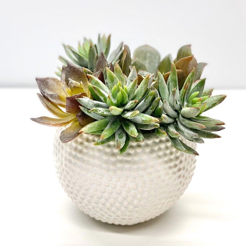Faux succulent stem, permanent succulent stem, faux succulent Palm