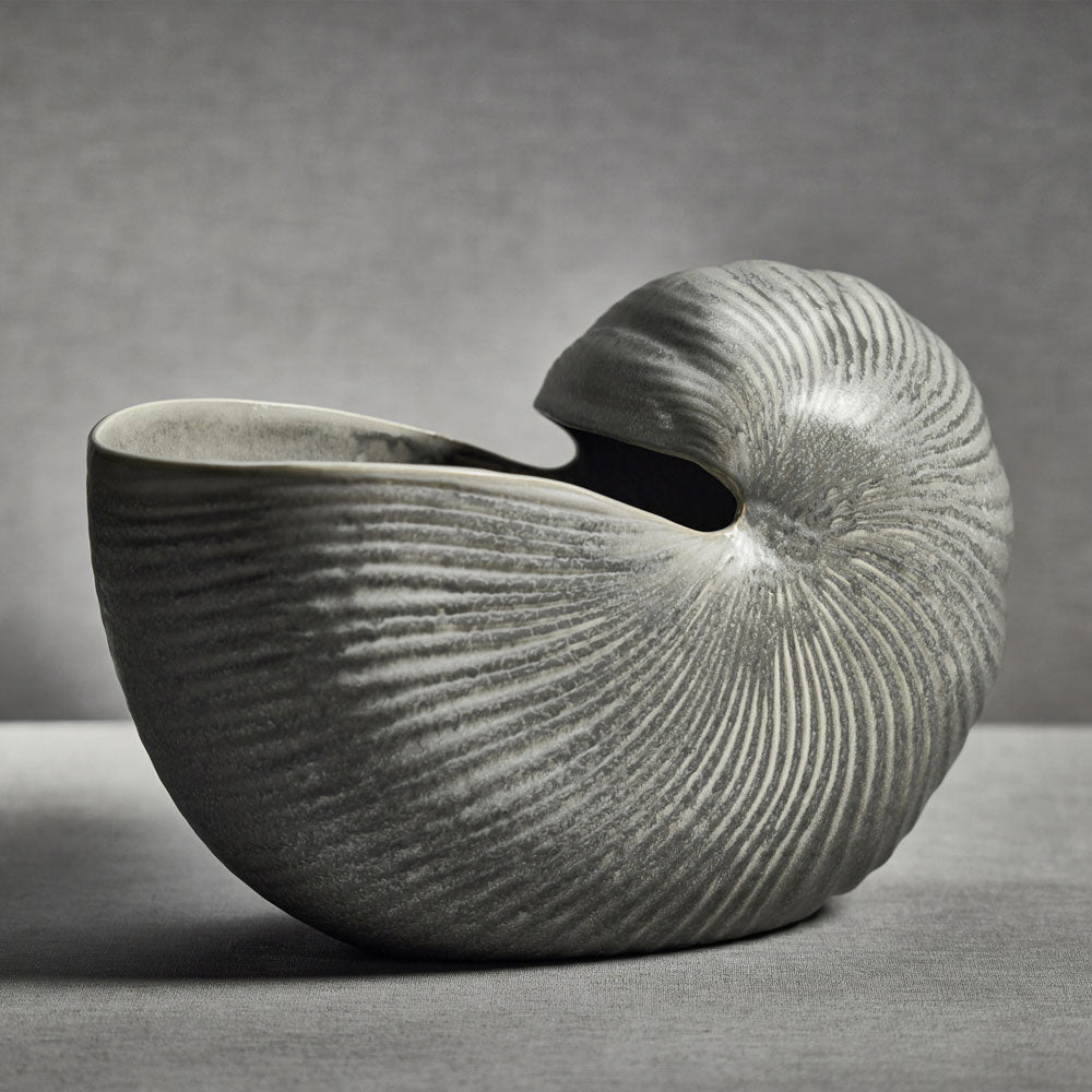 Gray Nautilus shell vase styled on a gray surface