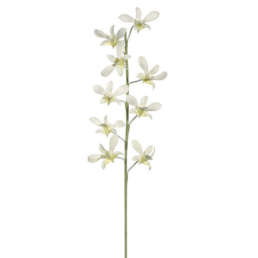 Caesar Dendrobium Stem White 29''