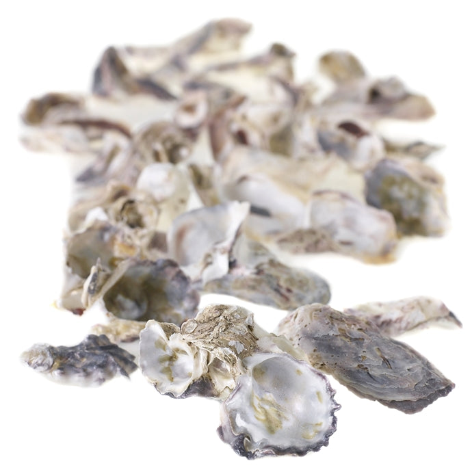 Oyster Shells