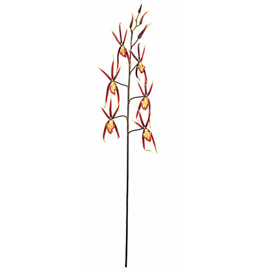 Spider Orchid (Red) 38"