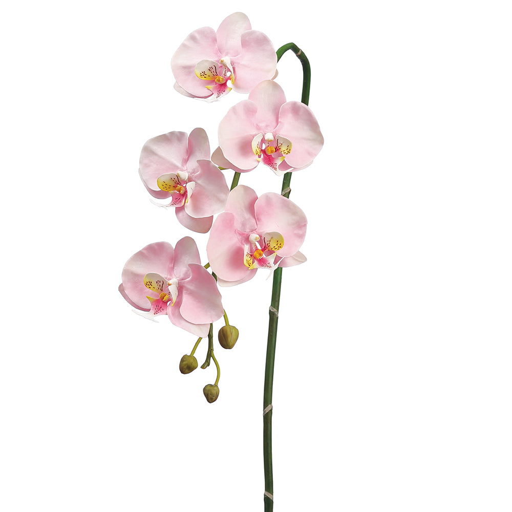 Faux phalaenopsis orchid stem, permanent orchid stem, faux orchid