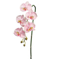 Faux phalaenopsis orchid stem, permanent orchid stem, faux orchid