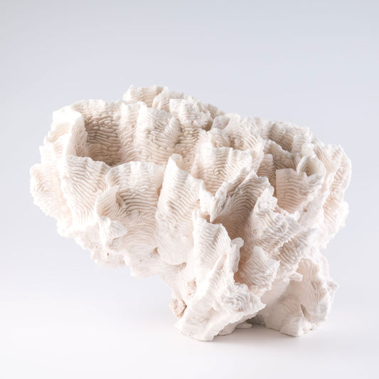poca coral buy poca coral decorating with poca coral