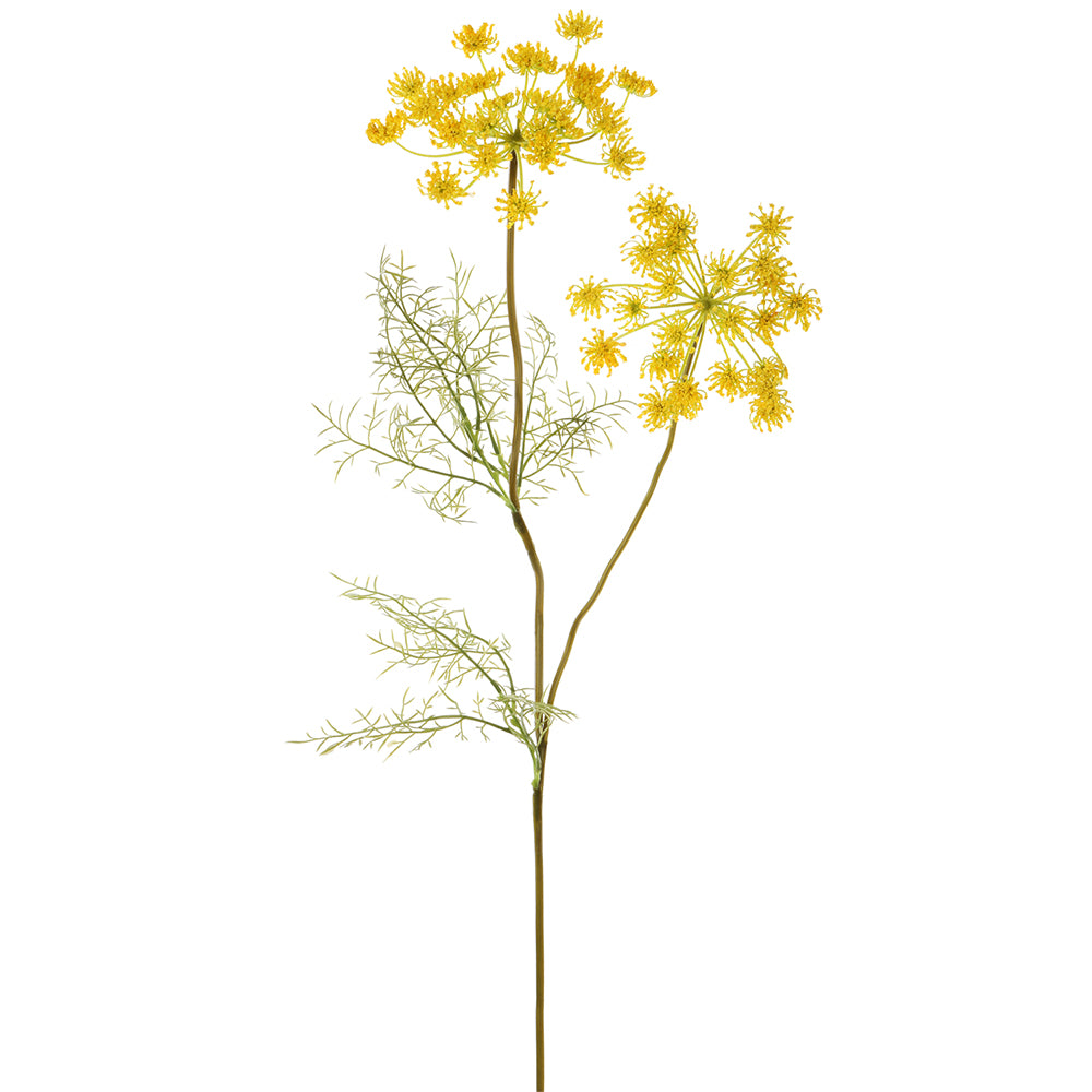 Queen Anne's Lace Yellow 33"