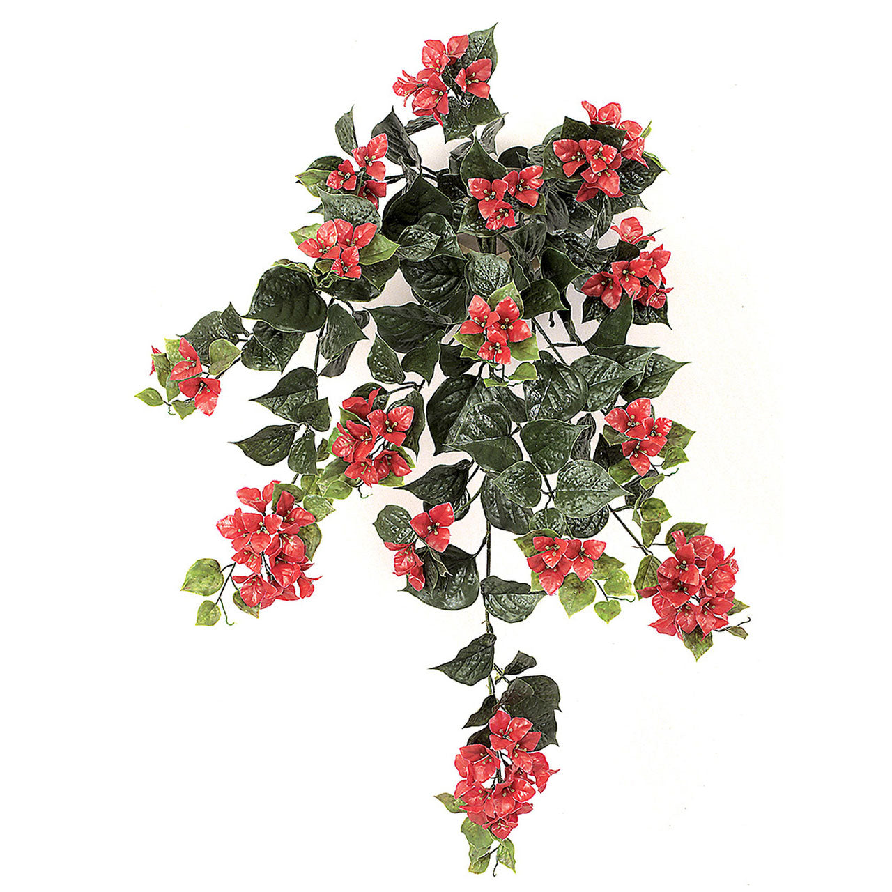 Bougainvillea Bush 36" (UV Safe)