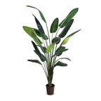 10' faux Traveller's Palm with a fan of upright leaves, front view