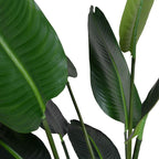 Close-up of the 10' faux Traveller's Palm's large green leaves and stems