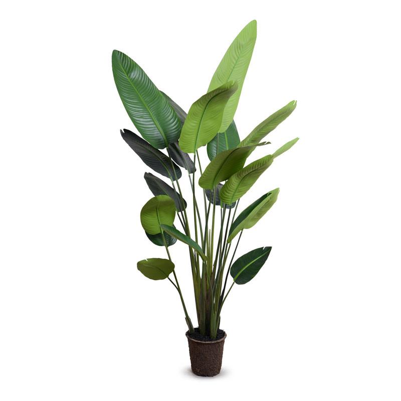 a 7' tall faux travellers palm tree by Palm Bungalow