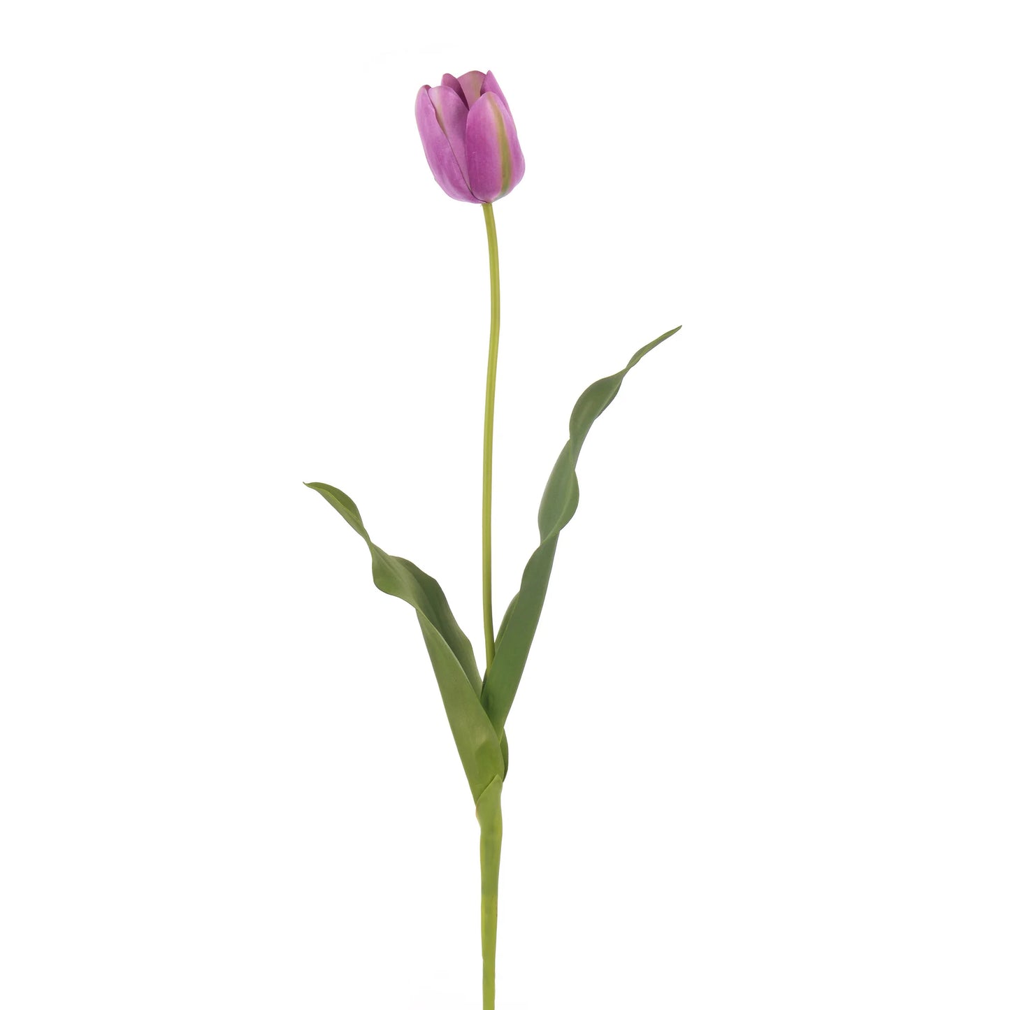 French Tulip Open Purple 24.5"
