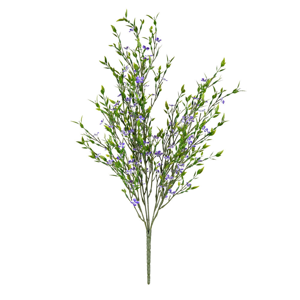 Wild Chicory Bush 20" (UV safe)
